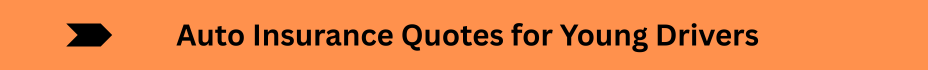 Life Insurance Quotes (1)