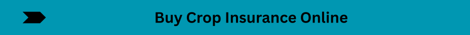 Life Insurance Quotes (1)