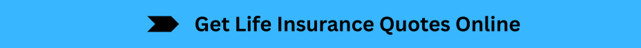 Life Insurance Quotes (1)