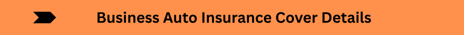 Life Insurance Quotes (10)