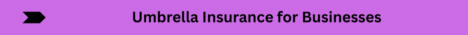 Life Insurance Quotes (10)