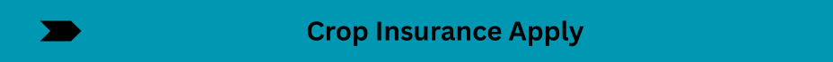 Life Insurance Quotes (10)