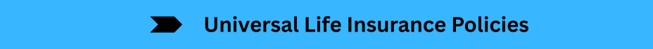 Life Insurance Quotes (10)