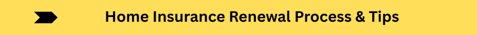 Life Insurance Quotes (11)