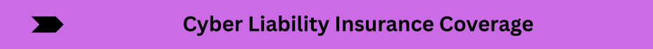 Life Insurance Quotes (11)