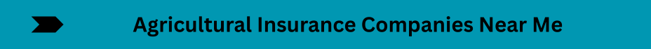 Life Insurance Quotes (11)