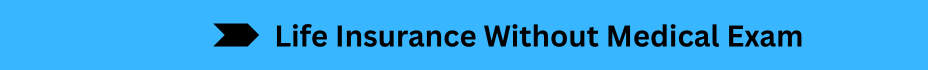 Life Insurance Quotes (11)