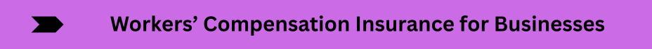 Life Insurance Quotes (12)
