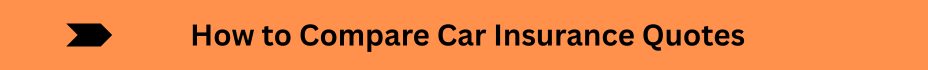 Life Insurance Quotes (13)