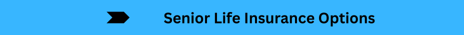 Life Insurance Quotes (13)