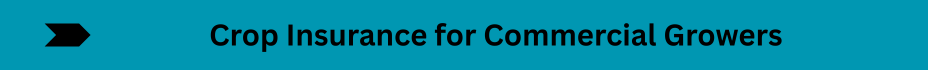 Life Insurance Quotes (14)