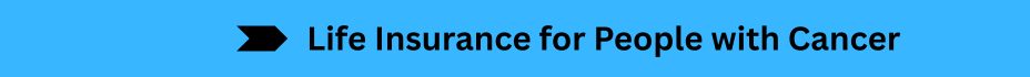Life Insurance Quotes (14)