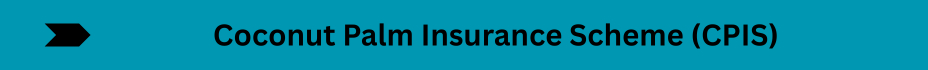 Life Insurance Quotes (15)