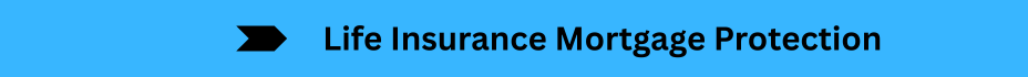 Life Insurance Quotes (15)