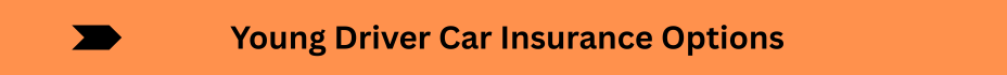 Life Insurance Quotes (16)