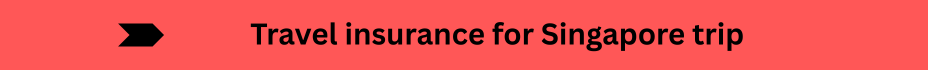 Life Insurance Quotes (17)