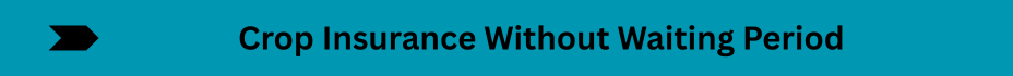 Life Insurance Quotes (17)