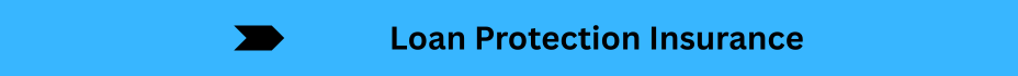 Life Insurance Quotes (17)