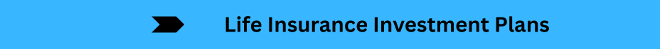 Life Insurance Quotes (18)