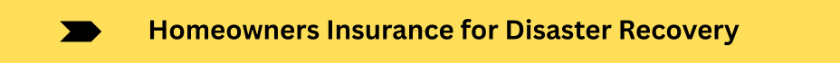 Life Insurance Quotes (19)