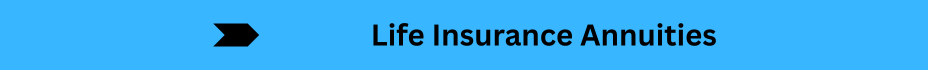 Life Insurance Quotes (19)