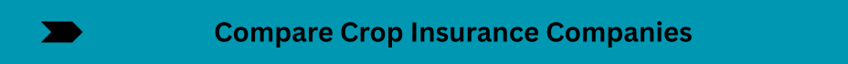 Life Insurance Quotes (2)