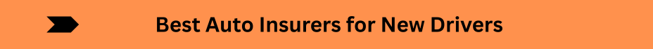 Life Insurance Quotes (20)