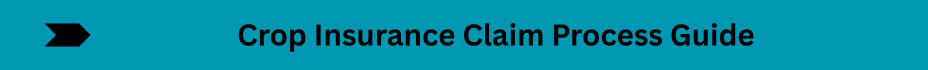 Life Insurance Quotes (20)