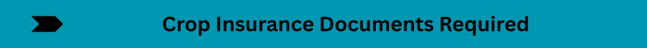 Life Insurance Quotes (21)