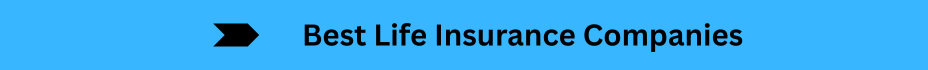Life Insurance Quotes (21)