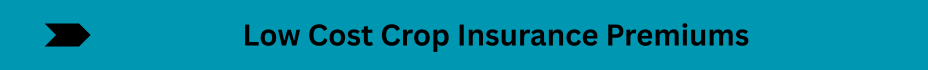 Life Insurance Quotes (22)