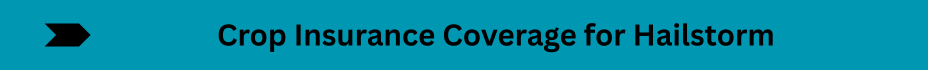 Life Insurance Quotes (23)
