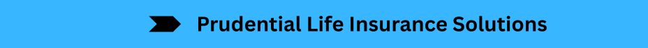 Life Insurance Quotes (23)