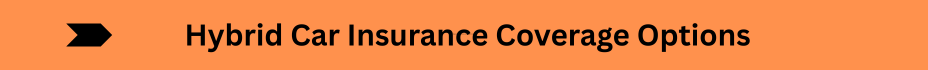 Life Insurance Quotes (24)