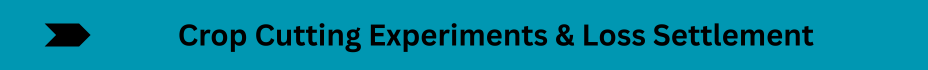 Life Insurance Quotes (24)