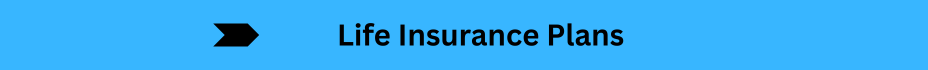 Life Insurance Quotes (24)