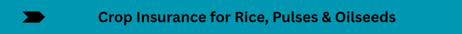 Life Insurance Quotes (26)
