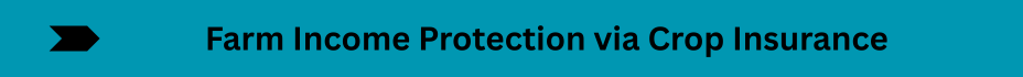 Life Insurance Quotes (27)