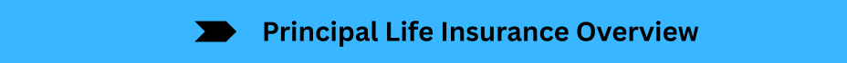 Life Insurance Quotes (27)