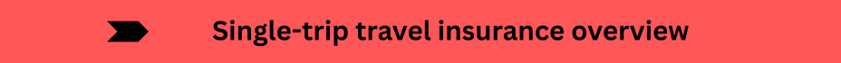 Life Insurance Quotes (28)