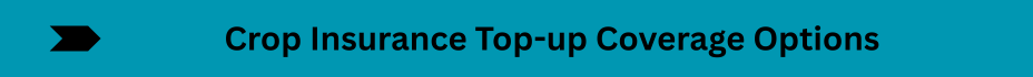 Life Insurance Quotes (28)