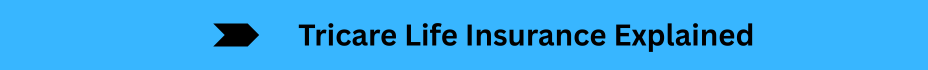 Life Insurance Quotes (28)