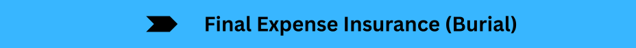 Life Insurance Quotes (29)