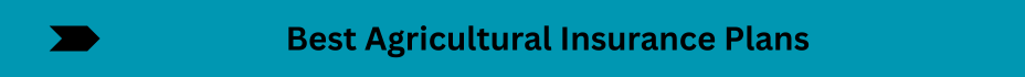 Life Insurance Quotes (3)