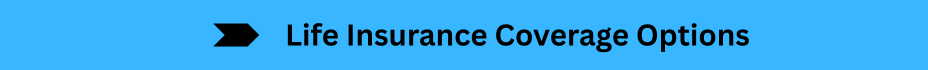 Life Insurance Quotes (3)