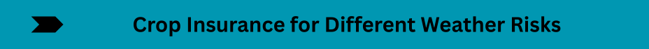 Life Insurance Quotes (30)