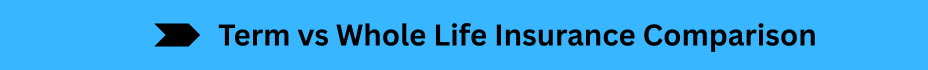 Life Insurance Quotes (31)