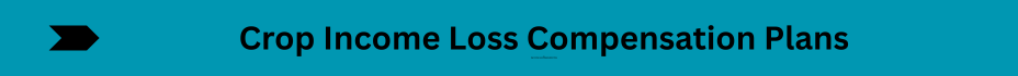 Life Insurance Quotes (33)
