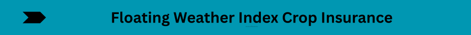 Life Insurance Quotes (34)