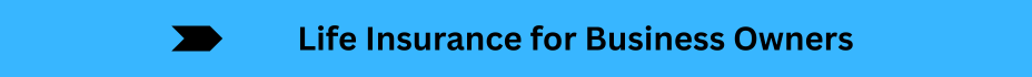Life Insurance Quotes (35)